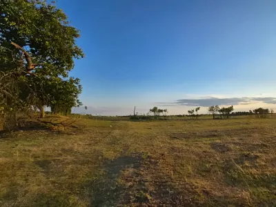 teren plat vanzare cumparare Valea lui Mihai Bihor priveliste